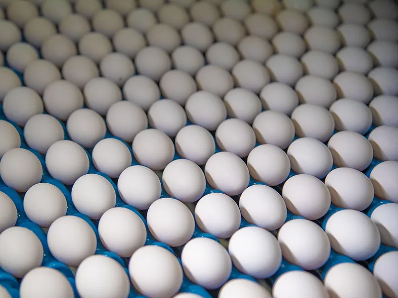 Eggs