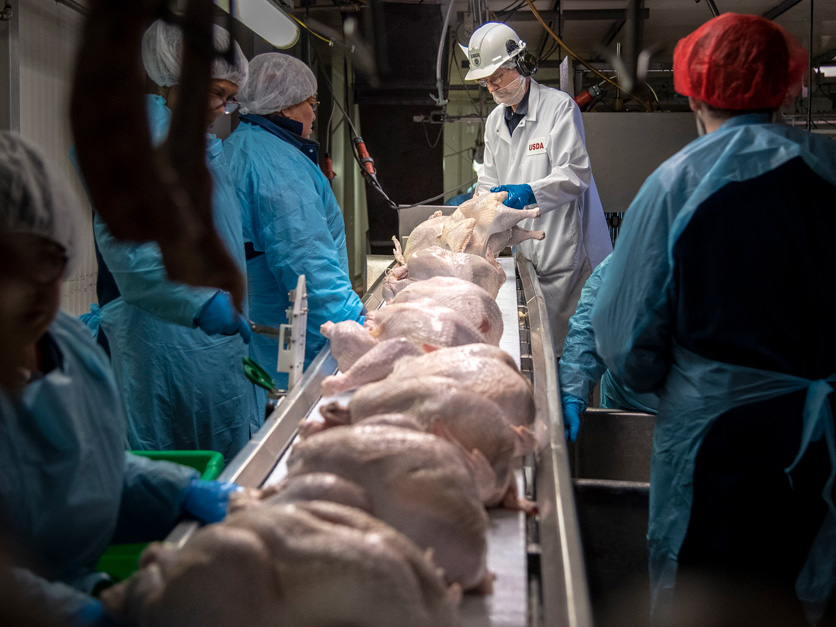 USDA_poultry_inspection.jpg