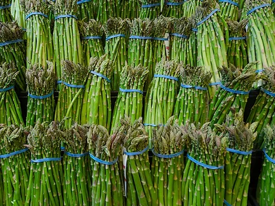 asparagus.jpg