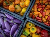 Fruit vegetable pepper eggplant