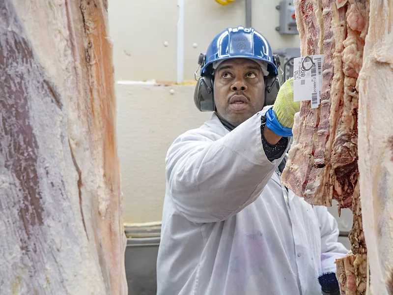 USDA beef inspector