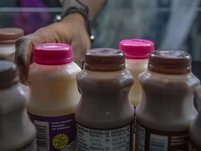 Dairy