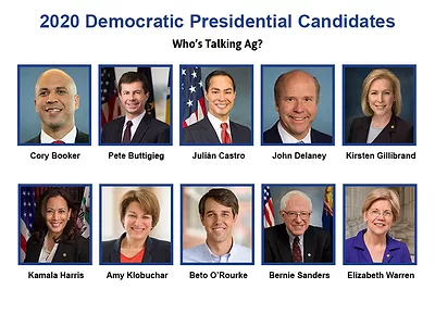2020 Candidates