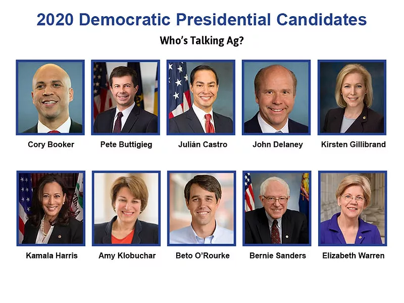 2020 Candidates
