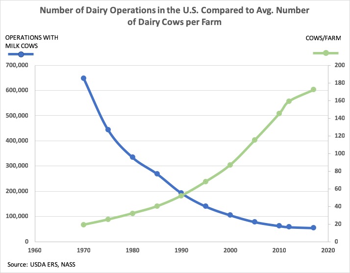 Dairy Data Chart