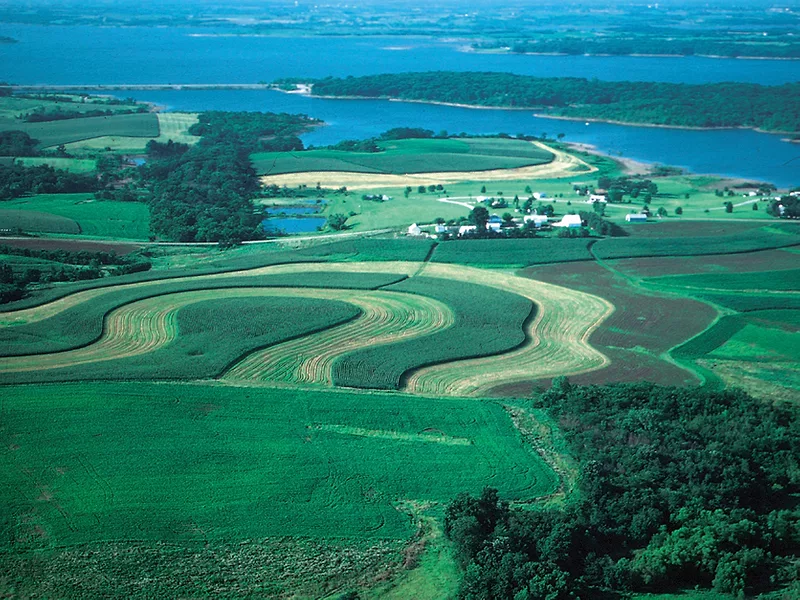 Green Farmland