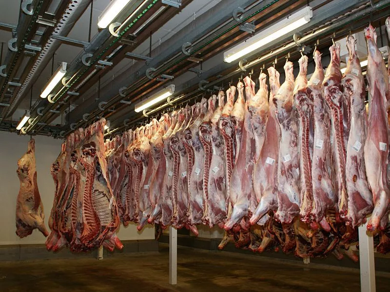 slaughterhouse