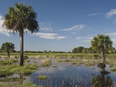 Lake Okeechobee