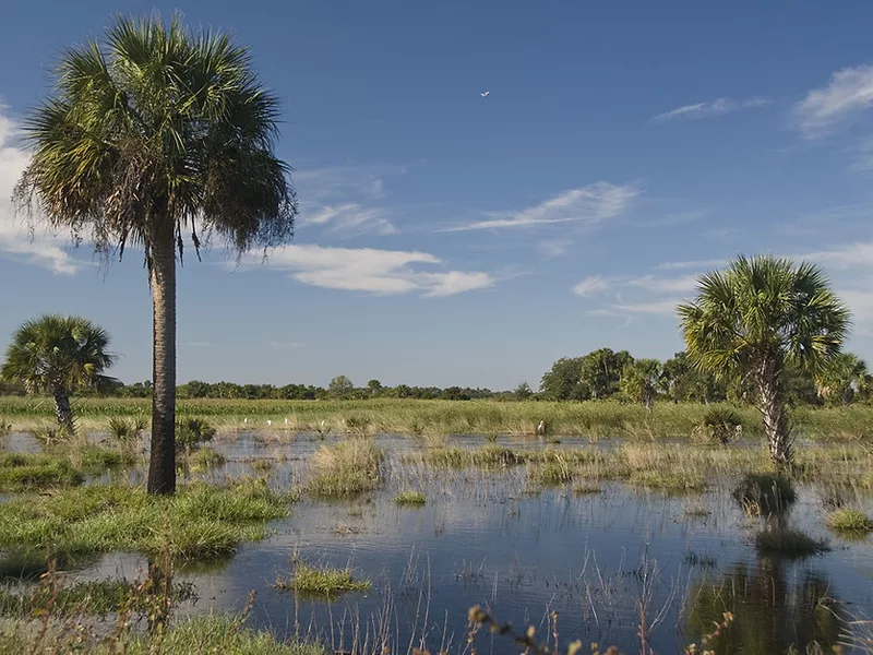Lake Okeechobee