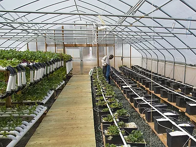 greenhouse