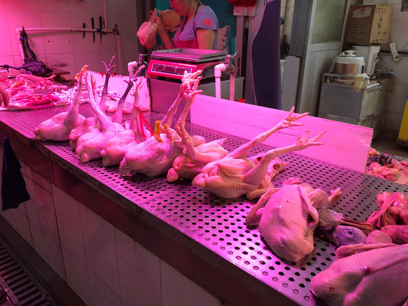 Chicken in Chinese wet market