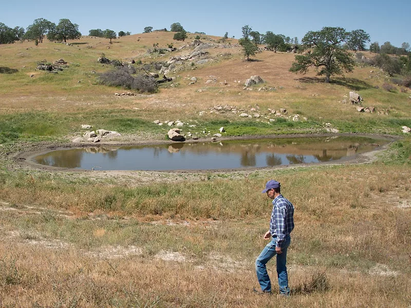 California conservation project
