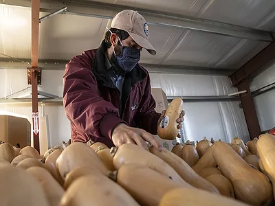 farmworker-squash-836x627