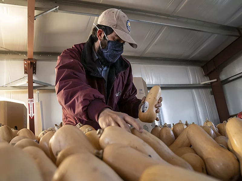 farmworker-squash-836x627