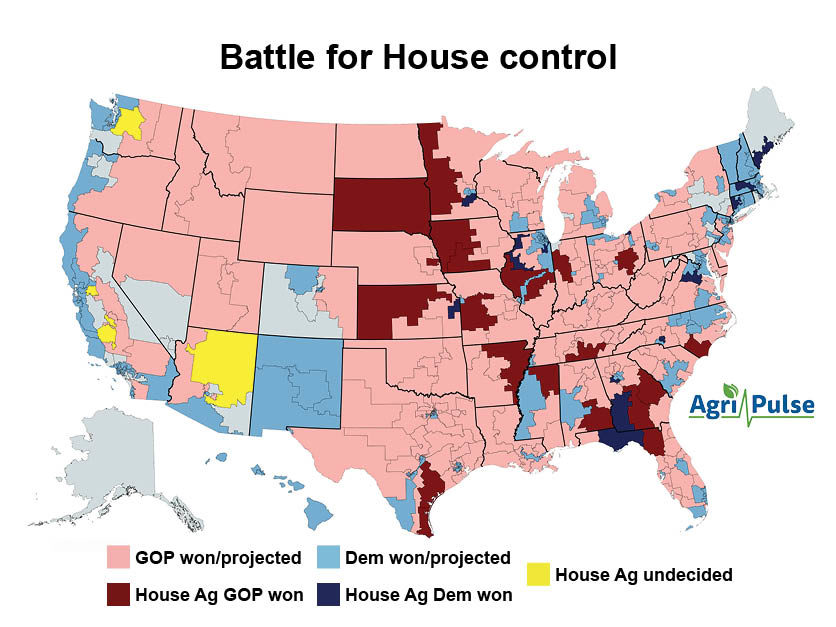 Democrats curb House losses, Senate control up in air 20221109