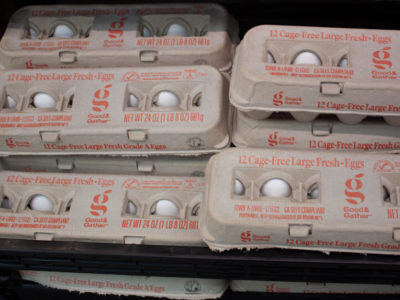 G&G-white-cage-free-eggs-CA-2-2022.jpg