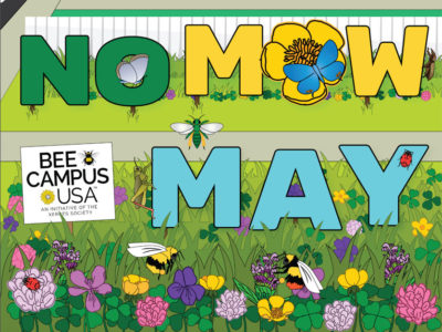 No-Mow-May-sign.jpg