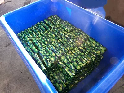 CBP-limes-cocaine.jpg