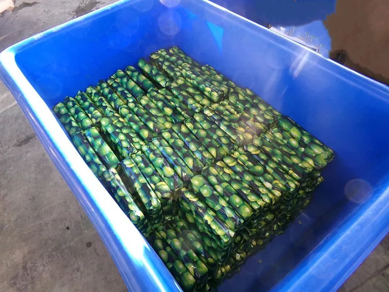 CBP-limes-cocaine.jpg