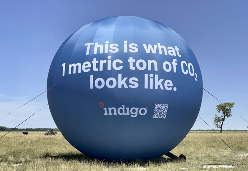 Indigo-field-promotion.jpg