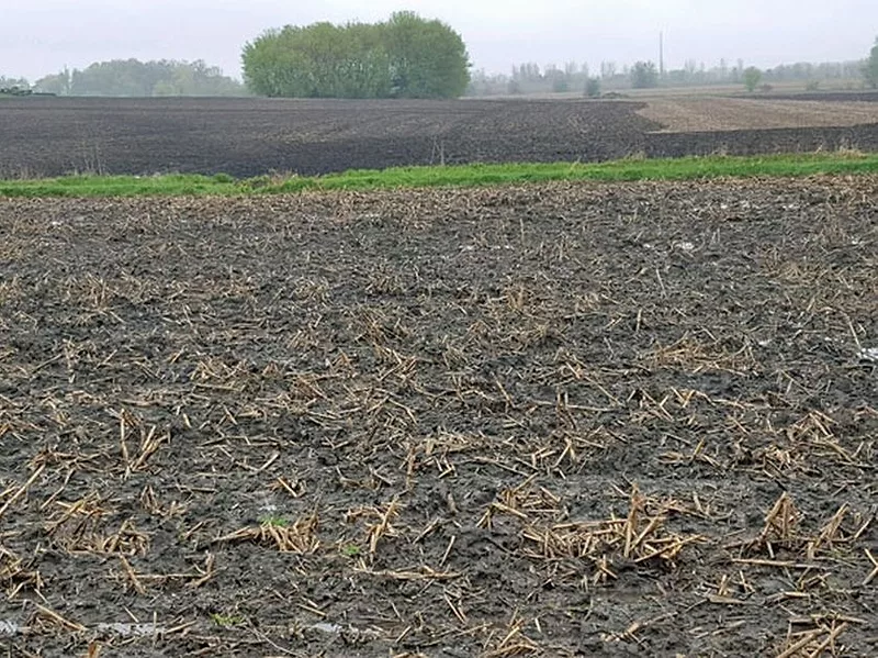 Wet spring field
