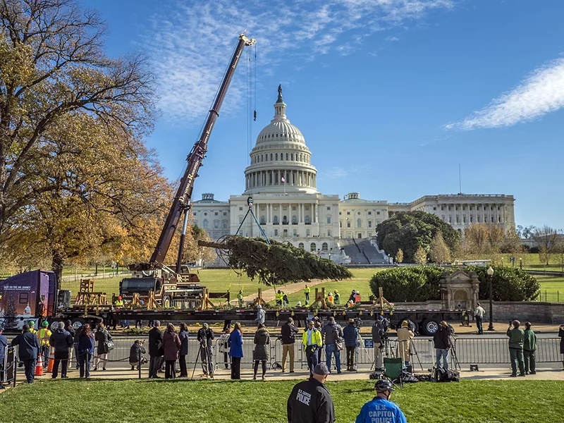 Capitol Christmas Tree