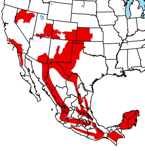 Fire map