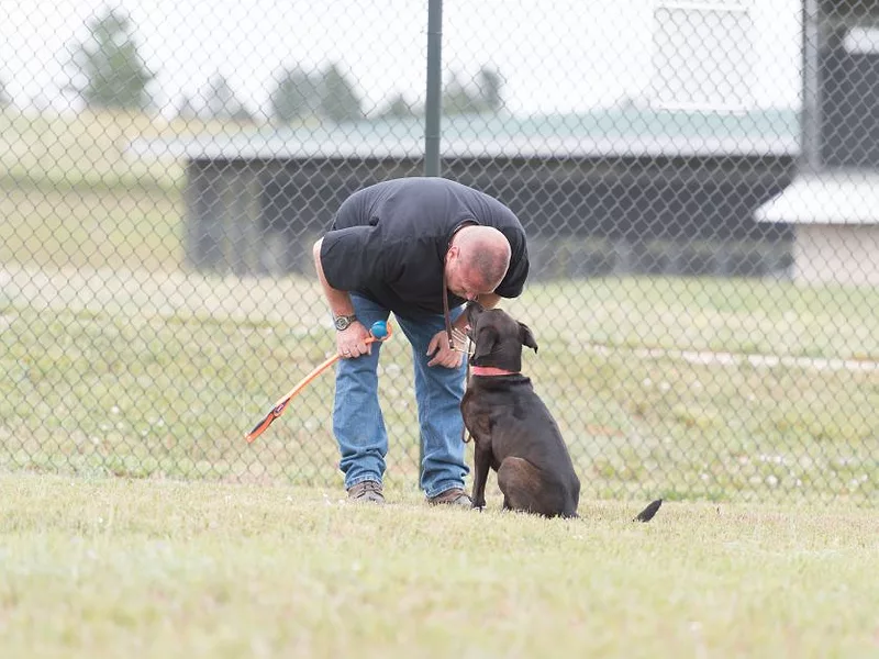 Glen Golden with dog