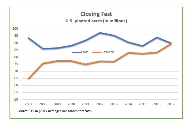 Soybean Shrink Chart