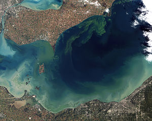 Lake Erie 2011 algae bloom