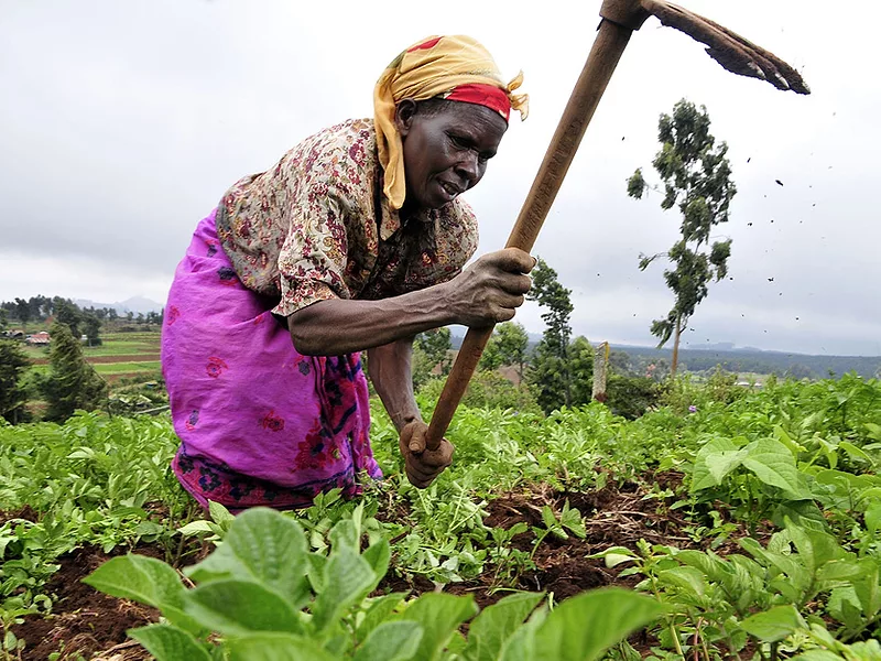 African agriculture