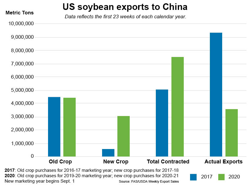 US Soybean Export Chart
