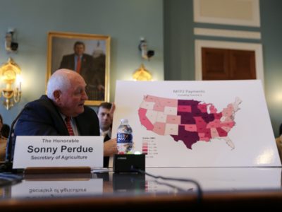 Perdue testifies before House Ag (Ag GOP photo)
