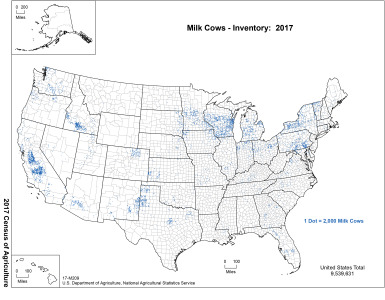 Milk cow inventory