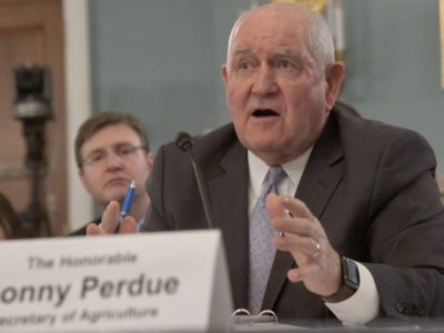 Perdue testifies at House Ag (USDA photo)