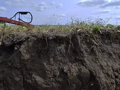 Soil profile.jpg