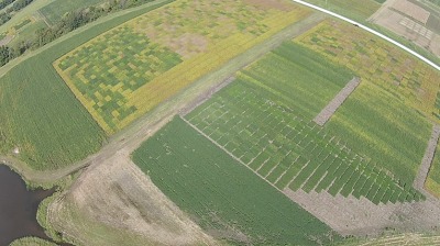 Sustainability cover crop video