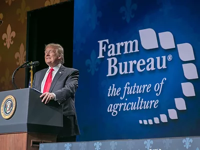 President Donald Trump