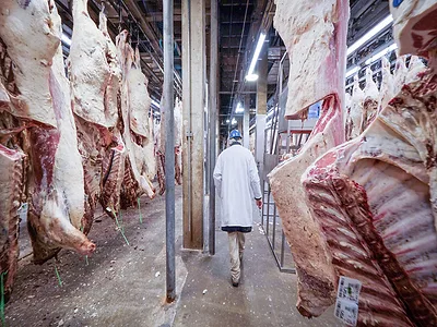 USDA-Beef-Slaughter-Plant.jpg