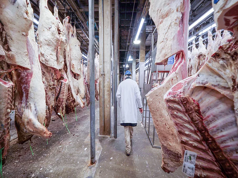 USDA-Beef-Slaughter-Plant.jpg