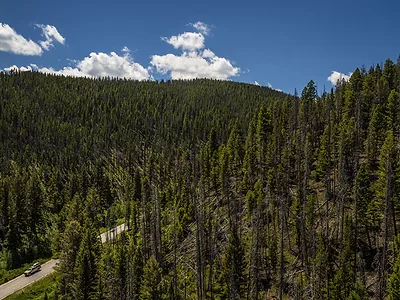 USDA-Forest-Land-Montana.jpg