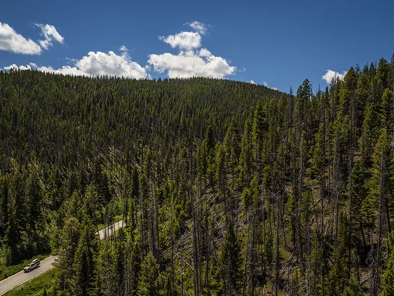 USDA-Forest-Land-Montana.jpg