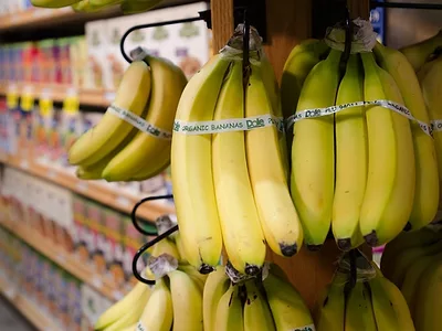 USDA-bananas.jpg