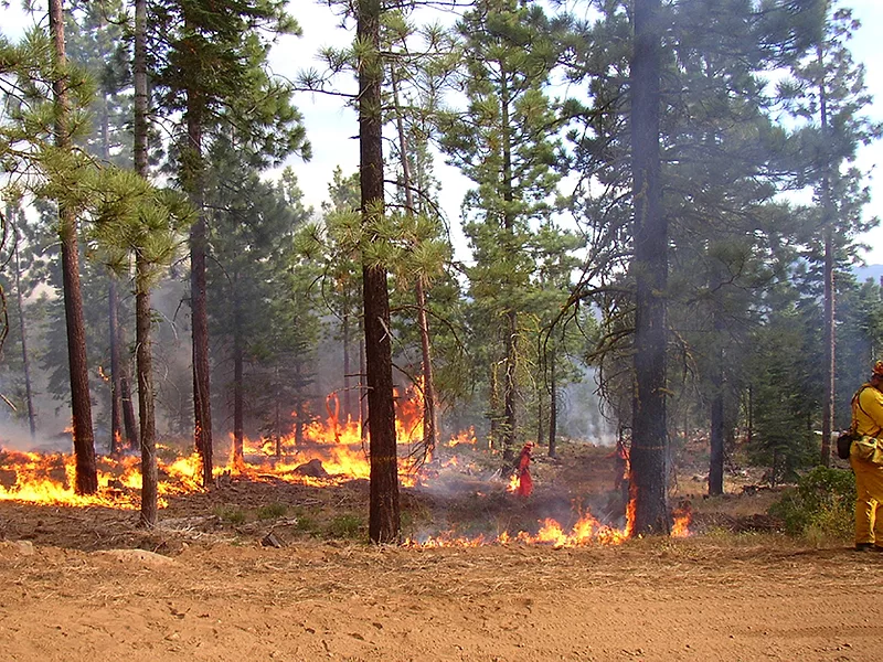 Wildfire_naturaldisaster_firefighter