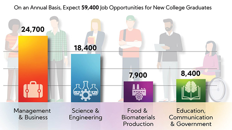 Job-Opportunities-for-New-College-Graduates.jpg
