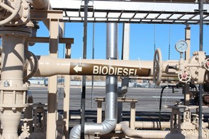 biodiesel