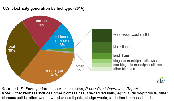 biomass graph