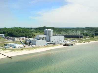 palisades nuclear