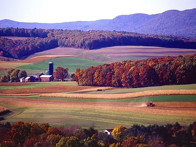Farm Landscape 2.0