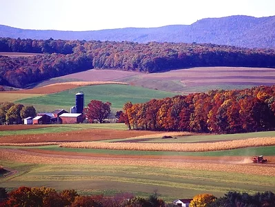 farm landscape.2